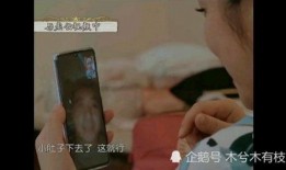 秦海璐老公爆料视频,揭秘夫妻生活幕后真相