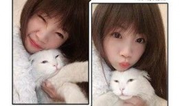 对家小花爆料视频,娱乐圈背后的惊人真相